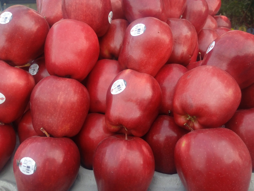 red-apple-indiandoctor4u-com